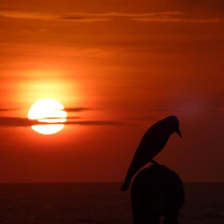 Stay Well Ayurvedic Beach Resort Kovalam Buitenkant foto